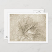 Schönheitshinweise Postkarte (Vorne/Hinten)