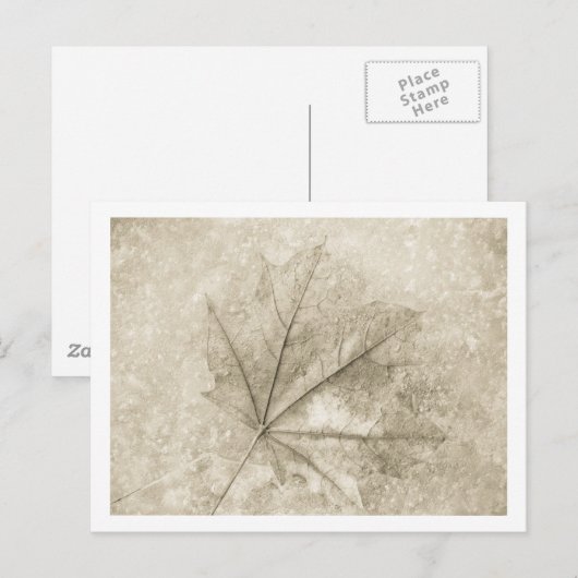 Schönheitshinweise Postkarte (Vorne/Hinten)