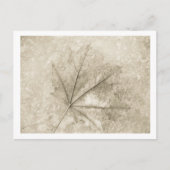 Schönheitshinweise Postkarte (Vorderseite)