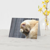 Schönheitskarte Karte (Gelbe Blume)