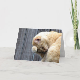 Schönheitskarte Karte