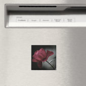 Schönheitsmagnet der Liebe Magnet (In Situ (Geschirrspüler))