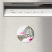 Schönheitsmagnet Magnet (In Situ (Geschirrspüler))