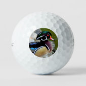 Schönheitspflege der Holzenteiche Vogelbeobachtung Golfball (Vorderseite)