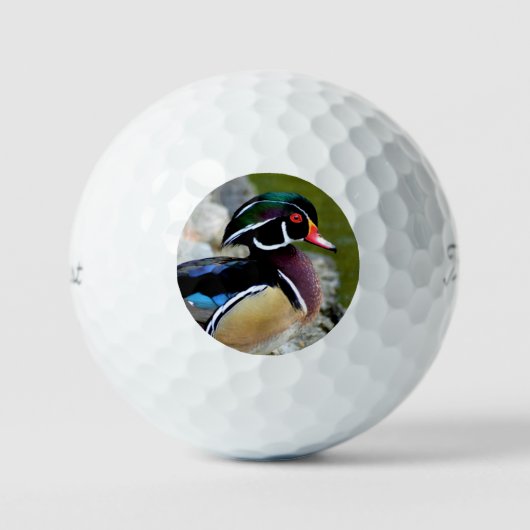 Schönheitspflege der Holzenteiche Vogelbeobachtung Golfball (Vorderseite)