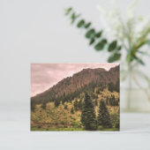 Schönheitspflege für Kiefern Postkarte (Stehend Vorderseite)