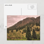 Schönheitspflege für Kiefern Postkarte (Vorne/Hinten)