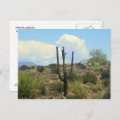 Schönheitspflege nach Karte (Vorne/Hinten)