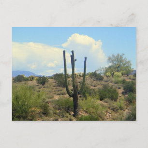 Schönheitspflege nach Karte