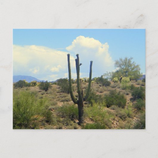 Schönheitspflege nach Karte (Vorderseite)