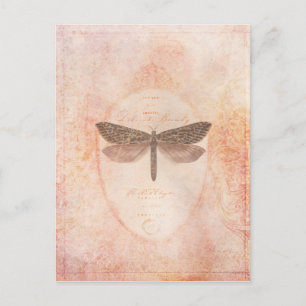 Schönheitspostkarte Postkarte