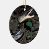 Schönheitsrattenschlange Keramik Ornament (Rechts)