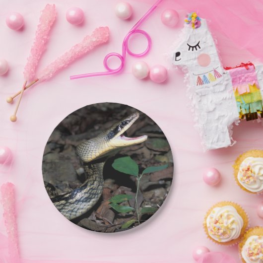 Schönheitsrattenschlange Pappteller (Party)