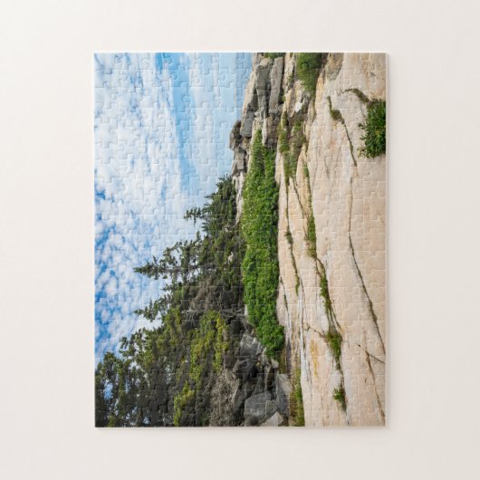 Schoodic Point im Acadia Nationalpark Puzzle (Vertikal)