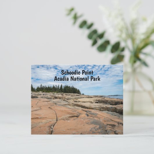 Schoodic Point in Acadia National Park in Maine Postkarte (Stehend Vorderseite)