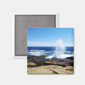 Schoodic Point Magnet (Vorderseite/Rückseite)