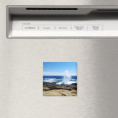 Schoodic Point Magnet (In Situ (Geschirrspüler))