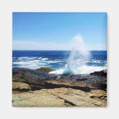 Schoodic Point Magnet (Vorne)