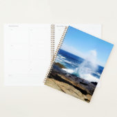 Schoodic Point Planer (Anzeige)