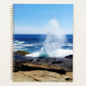 Schoodic Point Planer (Vorderseite)