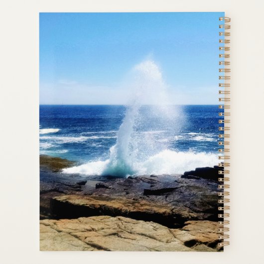 Schoodic Point Planer (Rückseite)