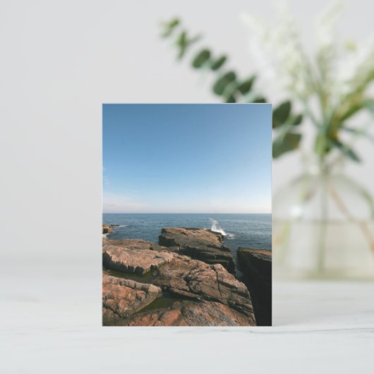 Schoodic Point Postkarte (Stehend Vorderseite)