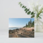 Schoodic West Shore Postkarte (Stehend Vorderseite)