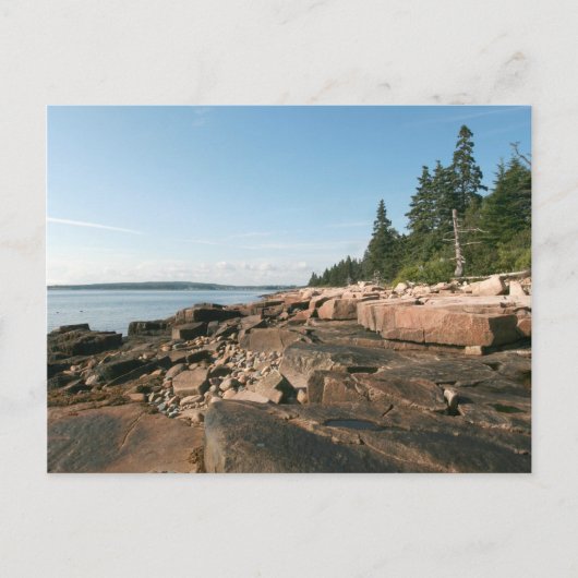 Schoodic West Shore Postkarte (Vorderseite)