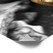 Schoodische Schnecken II Poster (Ecke)