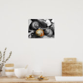 Schoodische Schnecken II Poster (Küche)