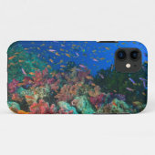 Schooling Fairy Basslets (Pseudanthias) Case-Mate iPhone Hülle (Rückseite (Horizontal))
