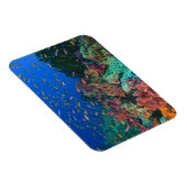 Schooling Fairy Basslets (Pseudanthias) Magnet (Rechte Seite)