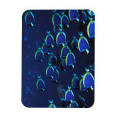 Schooling Powder Blaue Chirurgen Magnet (Vertikal)