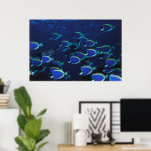Schooling Powder Blaue Chirurgen Poster (Heimbüro)