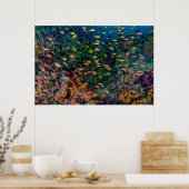 Schools of Fish Swim in Reef Poster (Küche)