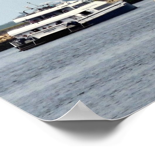 Schooner Brilliant Poster (Ecke)