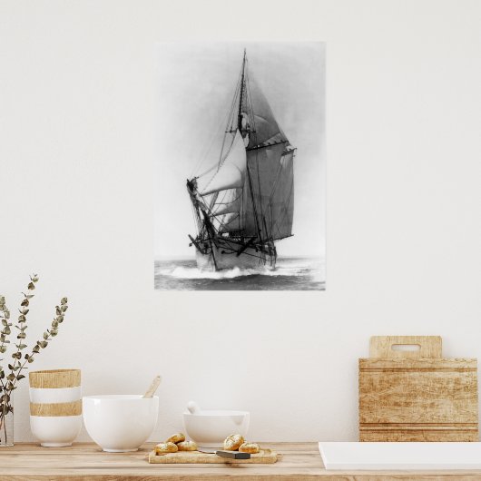 Schooner EG White Poster (Küche)
