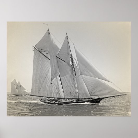 Schooner Yacht Fortuna Poster (Vorne)