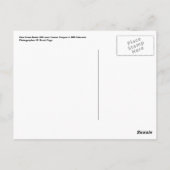 Schornstein von der Route 666 Postkarte (Rückseite)