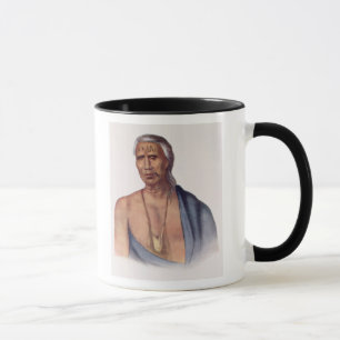 Schoss-PA-Gewinn-Soe, ein Delaware-Leiter Tasse