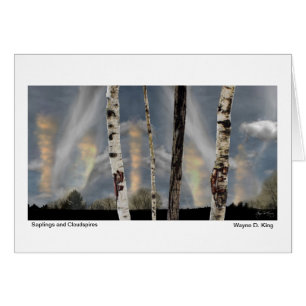 Schösslinge und Cloudspires