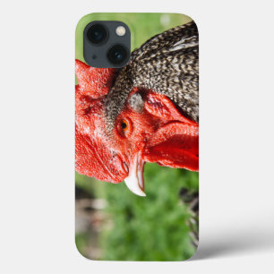 Schotte-graue Hahn-Fotografie iPhone 13 Hülle