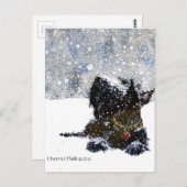 Schotte im Schnee Postkarte (Vorne/Hinten)
