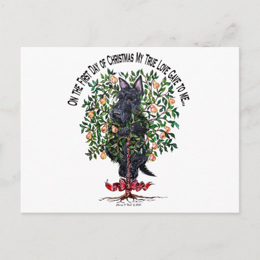 Schotte in einem Birnenbaum Postkarte (Vorderseite)