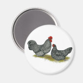 Schotten Dumping bei Hühnern Magnet (Vorderseite/Rückseite)