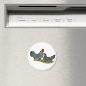 Schotten Dumping bei Hühnern Magnet (In Situ (Geschirrspüler))