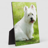 Schotter Fotoplatte (Seite)