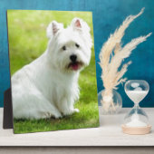 Schotter Fotoplatte (Seite)