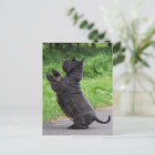 Schotter Postkarte (Stehend Vorderseite)