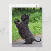 Schotter Postkarte (Vorne/Hinten)